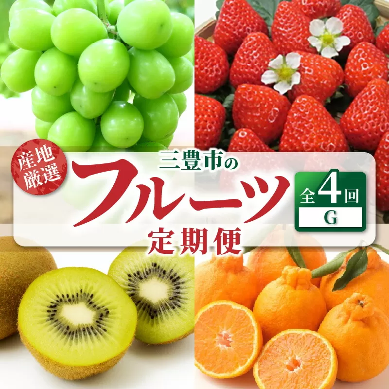 【ふるさと納税】【配送不可地域：北海道・沖縄県・離島】定期便 4回 フルーツ シャインマスカット いちご さぬきひめ グリーンキウイフルーツ 2Ｌ 三豊市産 厳選品 デコポン 旬の季節 お届け 瀬戸内式気候 香川県 三豊市 お取り寄せグルメ お取り寄せ 送料無料
