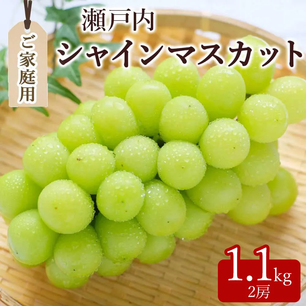 訳ありシャインマスカット2房(約1.1kg)家庭用