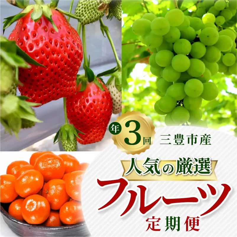 【ふるさと納税】【配送不可地域：北海道・沖縄県・離島】人気の厳選 フルーツ 定期便(年3回) いちご 400g シャインマスカット 1房 (約550g) みかん (約5kg) さぬきひめいちご 金時紅みかん 果物 旬の季節にお届け 年3回お届け お取り寄せ 香川県三豊市産 送料無料