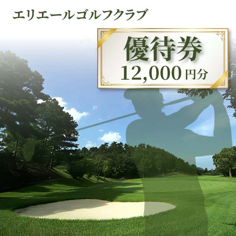 【ふるさと納税】エリエールゴルフクラブ 優待券 12,分 父の日  ゴルフ場利用券 利用券 ゴルフ利用券 ゴルフ場プレー券 ゴルフプレー券 ゴルフ場チケット ゴルフチケット ゴルフ場 ギフト券 ゴルフ場利用券 利用券 チケット ゴルフ場チケット チケット購入 秋 旬