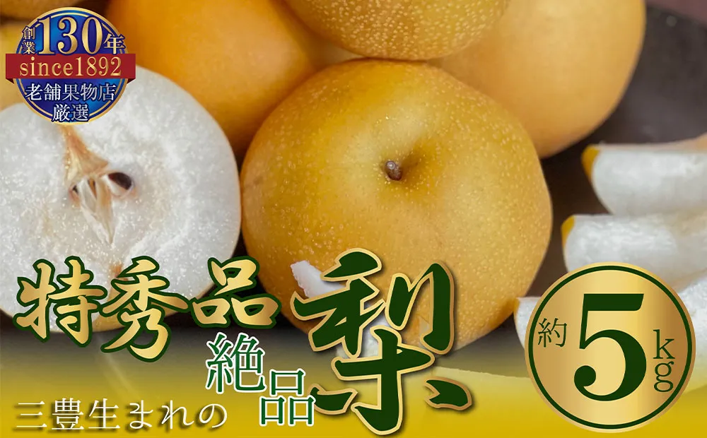 特秀品!三豊市生まれの絶品梨(約5kg)
