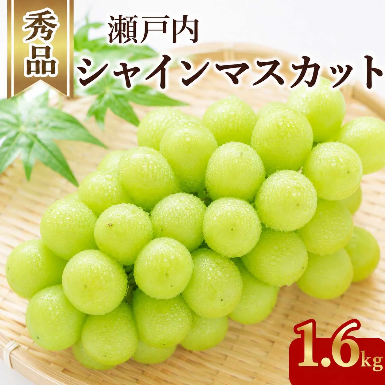 シャインマスカット 2〜4房(約1.6kg)