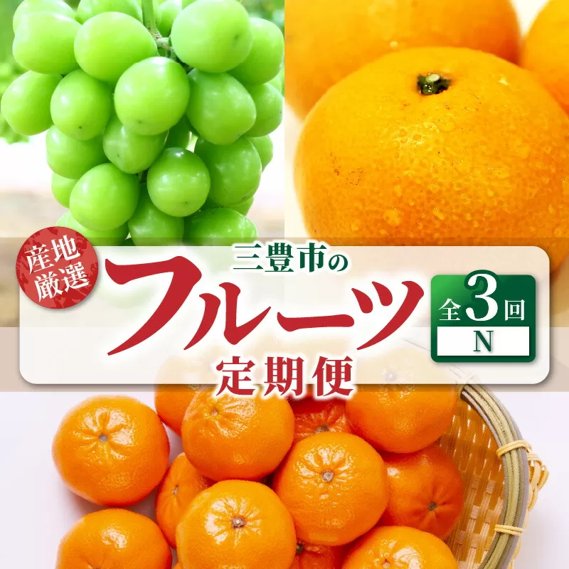【ふるさと納税】【配送不可地域：北海道・沖縄県・離島】定期便 3回 フルーツ シャインマスカット 1房 糖度チェック 実施 小原紅早生みかん 甘くて濃い 濃厚 オリジナルみかん 宮川早生みかん Ｓ～Ｌサイズ 甘み 酸味 旬の季節 香川県 三豊市 お取り寄せ 送料無料