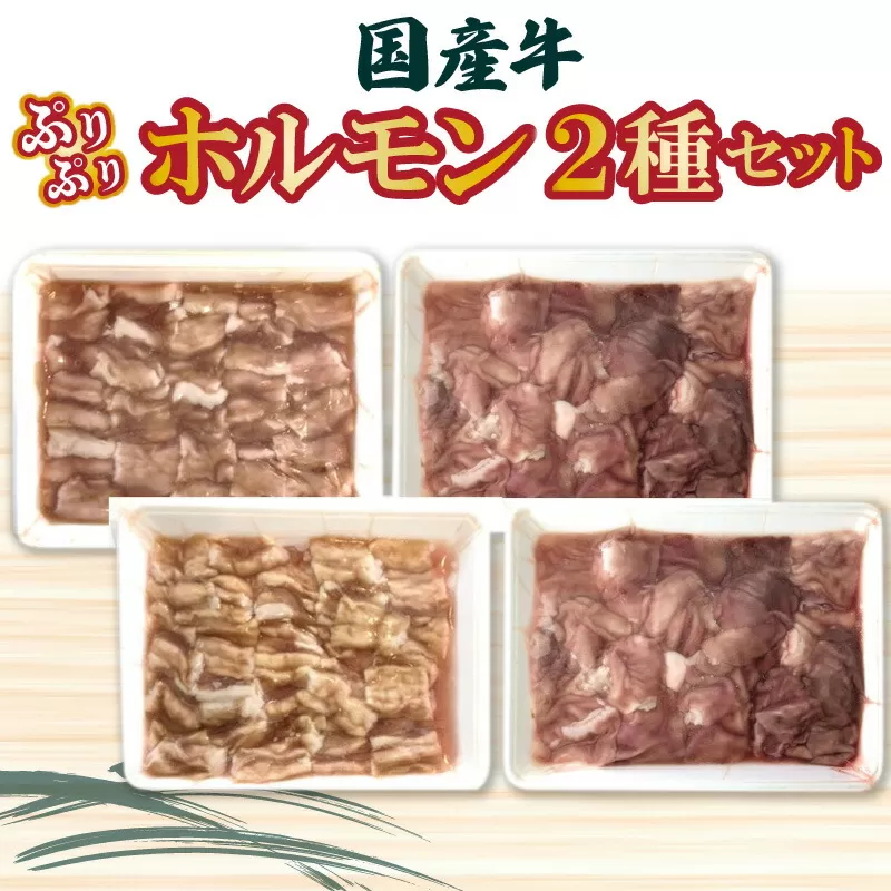 【ふるさと納税】国産牛ぷりぷりホルモン二種セット 食べ比べ 小腸 アカセンマイ 焼肉 もつ鍋