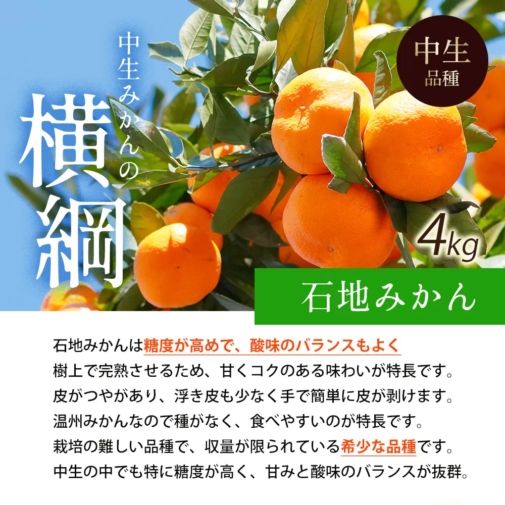 【ふるさと納税】【配送不可地域：北海道・沖縄県・離島】石地みかん 晩生みかん 選べる 2.5kg～10kg 朝摘みの甘さをそのままに 香川の石地ミカン 香川の晩生ミカン 2.5kg~10kgの太陽 香川からの新鮮な味わい 三豊市産石地ミカン 三豊市産晩生ミカン 5kg 10kg ミカン 蜜柑