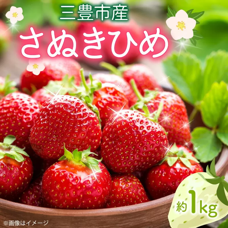 【ふるさと納税】【先行予約】【配送不可地域：北海道・沖縄県・離島】 イチゴ さぬきひめいちご 約 1kg 250g 4パック 三豊市産 やわらかな食感 果汁があふれる ジューシー 果肉 香り豊か 甘く深みのある香り 果物 フルーツ 香川県 お取り寄せ 送料無料  秋 旬