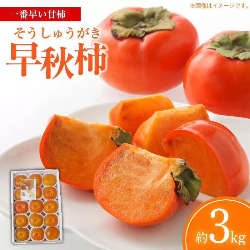 【ふるさと納税】【先行予約】【配送不可地域：北海道・沖縄県・離島】一番早い甘柿「早秋柿（そうしゅうがき）」約3kg  柿 カキ かき kaki 国産 フルーツ 果物 お取り寄せ 詰め合わせ 詰合せ 詰合わせ 訳あり 大粒 直送 新鮮 旬 オーガニック 健康効果 保存方法