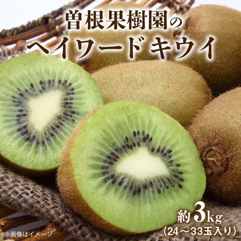 [ふるさと納税][配送不可地域:北海道・沖縄県・離島]曽根果樹園のヘイワードキウイ約3kg(24〜33玉入り) 秋 旬