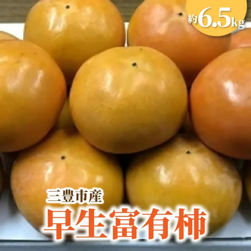 三豊市産早生富有柿 約6.5kg