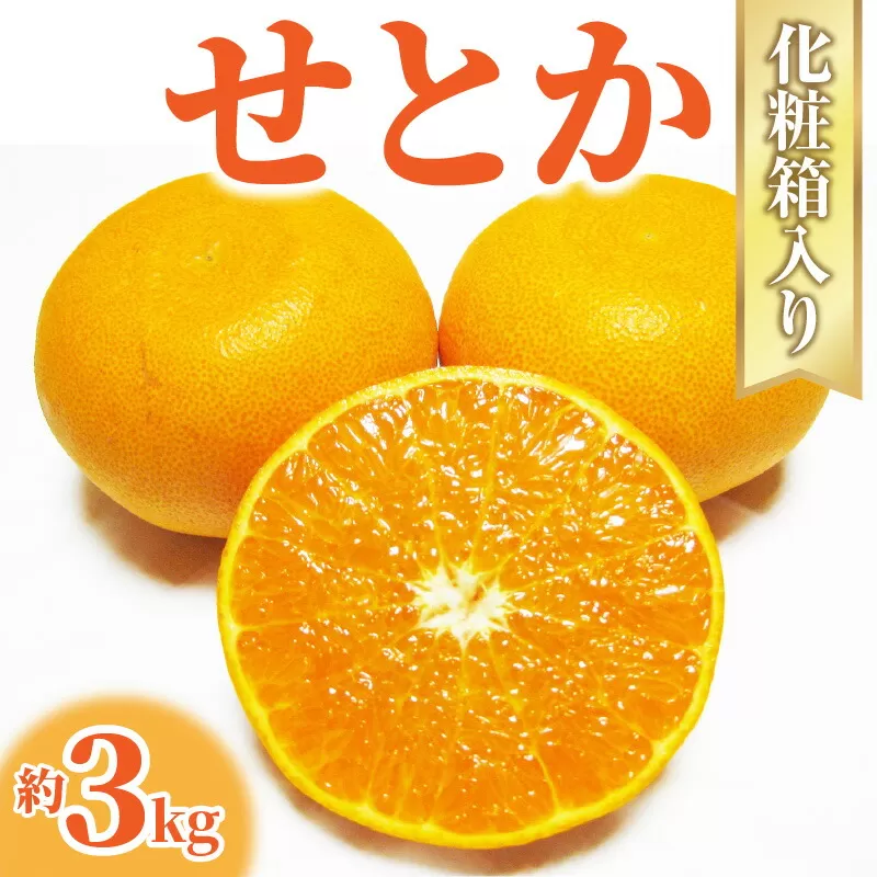 【ふるさと納税】【配送不可地域：北海道・沖縄県・離島】みかん せとか 約 3kg 7玉〜12玉 国産 とろける食感 とろける甘さと濃厚な風味 なめらかで美しい果肉 みかんの大トロ とも呼ばれる 海外からも注目 柑橘 フルーツ 果物 2月上旬から2月下旬頃の順次発送  秋 旬