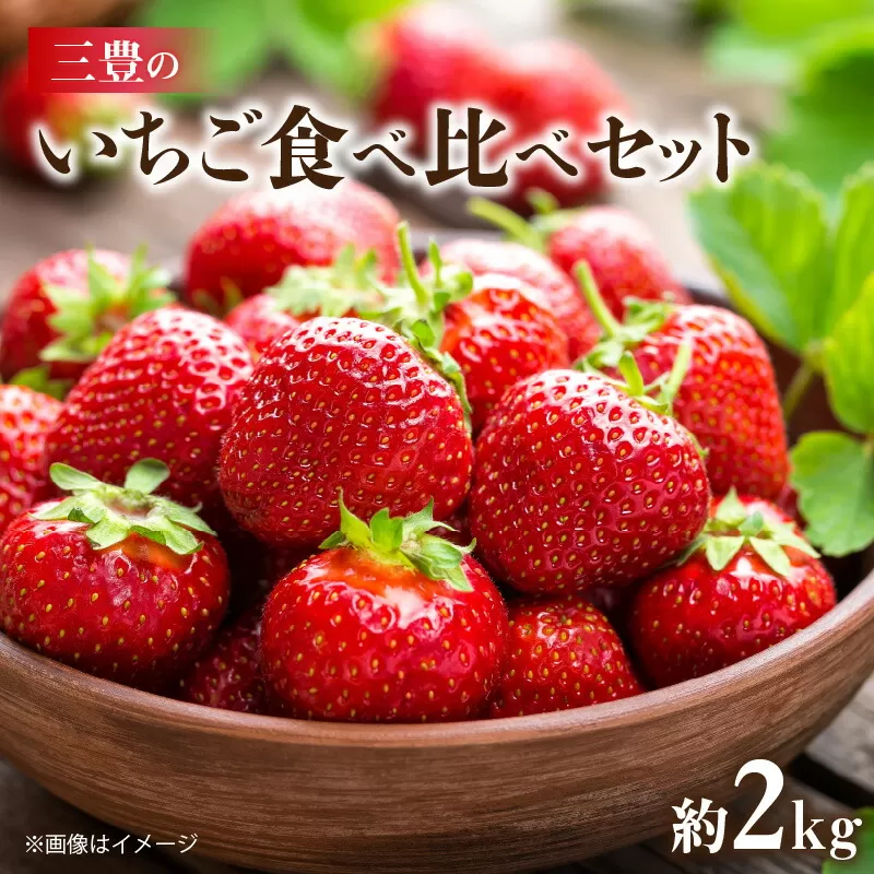 【ふるさと納税】【配送不可地域：北海道・沖縄県・離島】 いちご 食べ比べ セット 女峰いちご さぬきひめ 各 250g 4パック 計 約 2kg 2月上旬より順次発送 甘み 酸味 香りが強い ジューシー 果肉 ケーキ お菓子 果物 フルーツ スイーツ 香川県 お取り寄せ 送料無料