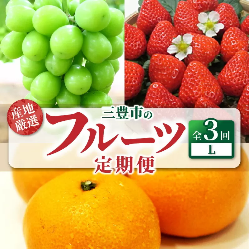 【ふるさと納税】【配送不可地域：北海道・沖縄県・離島】定期便 3回 フルーツ シャインマスカット 1房 さぬきひめ 約250g 4パック いちご 果実 大きい 宮川早生みかん Ｓ～Ｌサイズ 5kg 甘み 酸味 バランス 良い 旬の季節 お届け 香川県 三豊市 お取り寄せ 送料無料