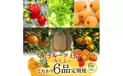 【ふるさと納税】【配送不可地域：北海道・沖縄県・離島】フルーツ王国 みとよ 特選 こだわり 6品 定期便 定期 旬の時期 旬 果物 フルーツ 果実 旬 デザート 食べごろ みかん いちご びわ マスカット キウイ キウイフルーツ お取り寄せ 香川県 三豊市 送料無料