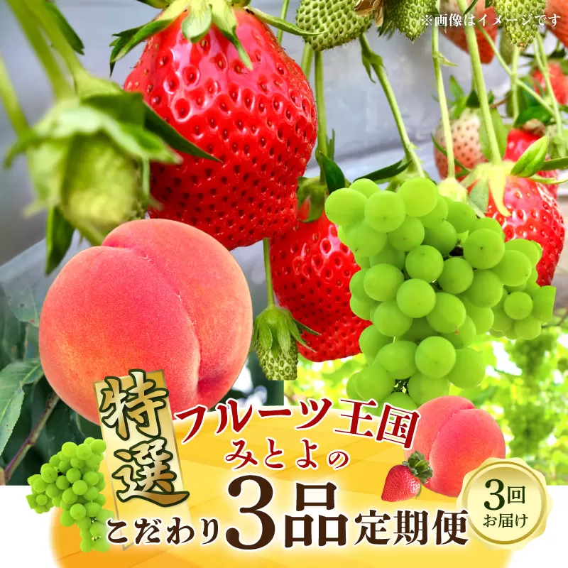 【ふるさと納税】【配送不可地域：北海道・沖縄県・離島】定期便 フルーツ王国 みとよ 特選 3回お届け フルーツ みかん 完熟 高糖度 もも あかつき 大玉 シャインマスカット 瀬戸内 果物 果実 定期 旬 おすすめ 香川県 三豊市 送料無料
