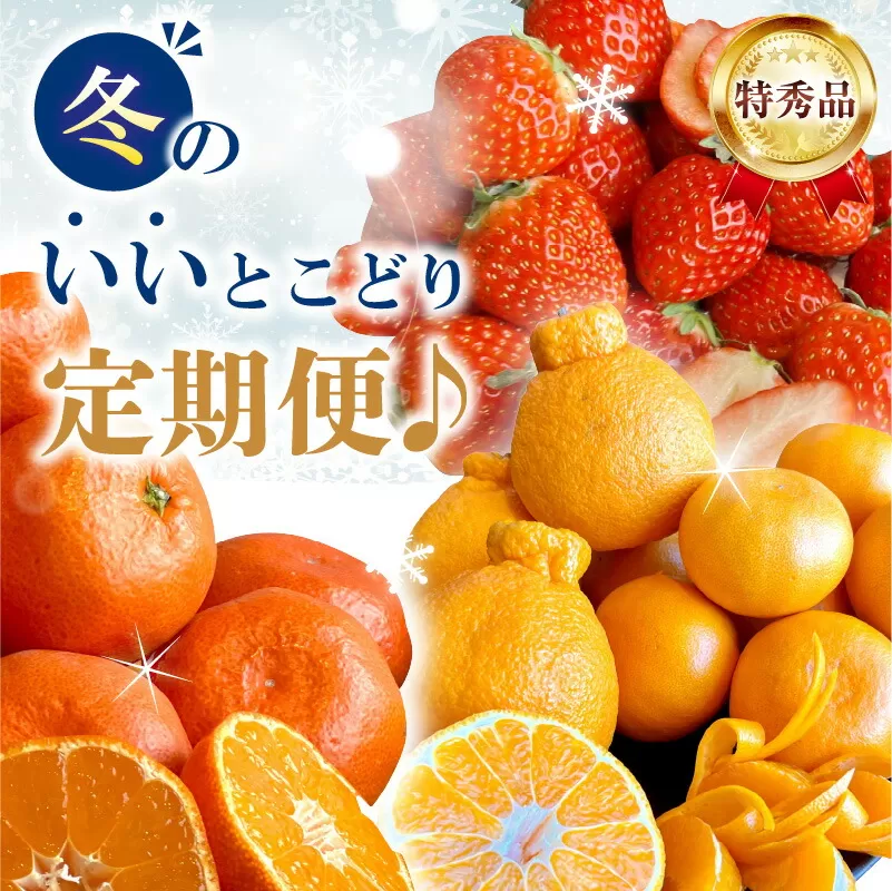 【ふるさと納税】【配送不可地域：北海道・沖縄県・離島】特秀品 冬 定期便 12月 小原紅早生みかん 1月 さぬき姫いちご 2パック 2月 せとか & デコポン フルーツ 旬の季節 鮮度 いいとこどり 果実 毎月 お取り寄せグルメ 送料無料 香川県 三豊市