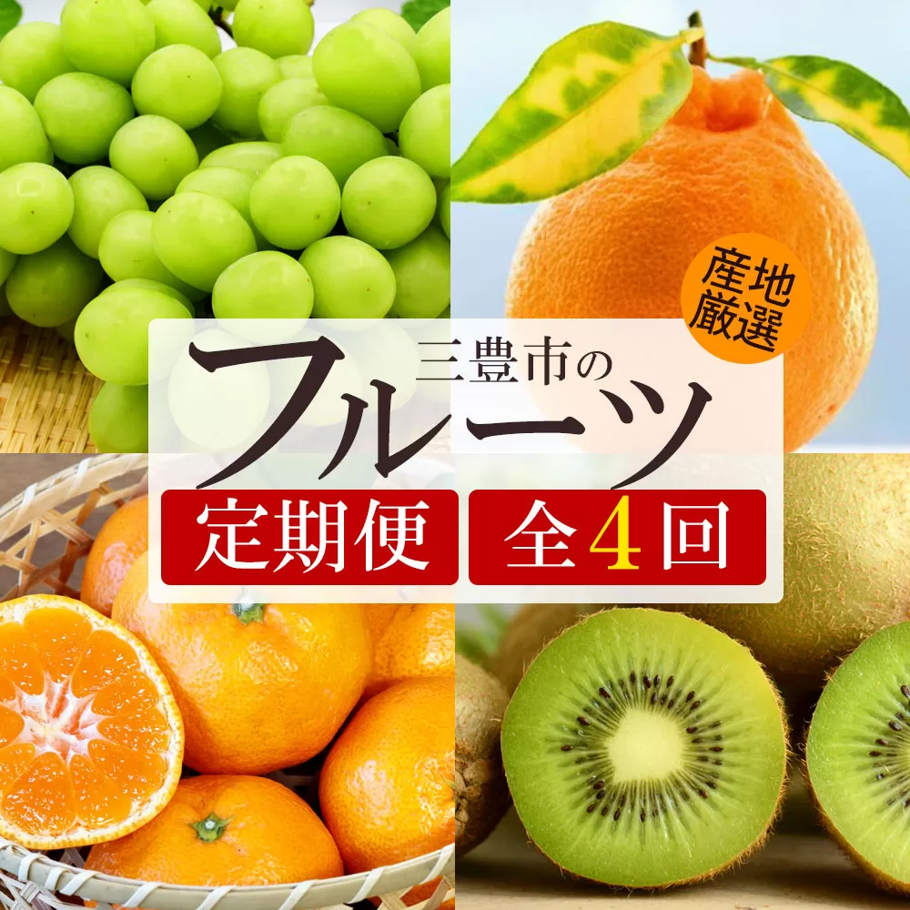 【4回定期便】シャインマスカット入り 旬のフルーツ定期便2(香緑)