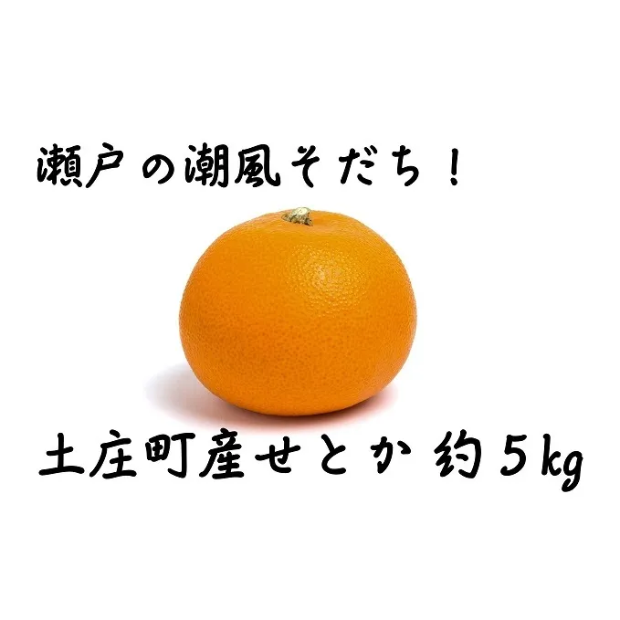【 小豆島 】小豆島せとか 約5kg 柑橘 果物 せとか フルーツ ジューシー フレッシュ くだもの 国産 香川 香川県 土庄 土庄町
