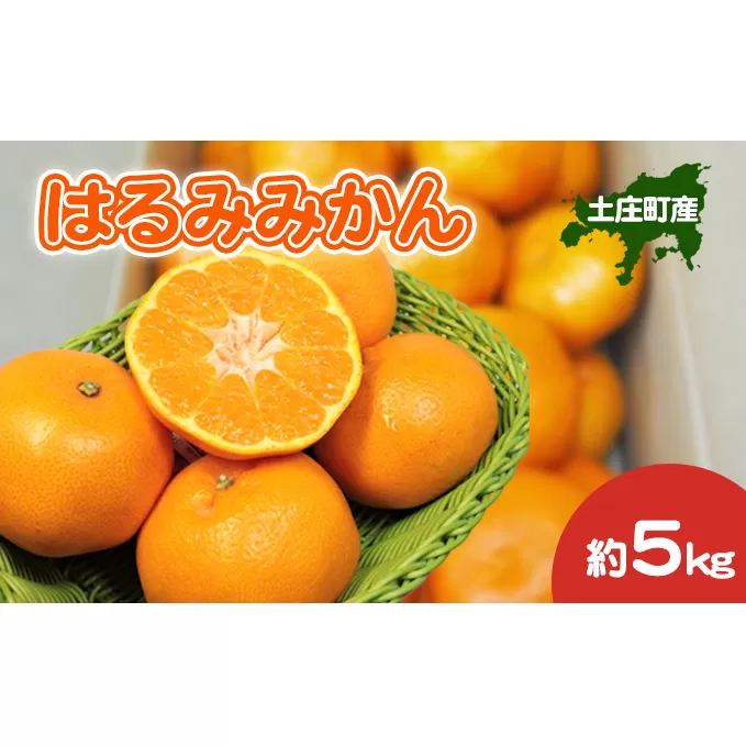 【 小豆島 】 はるみみかん 約5kg 柑橘 みかん ミカン 蜜柑 はるみ 果物 フルーツ ジューシー くだもの 国産 香川 香川県 土庄 土庄町