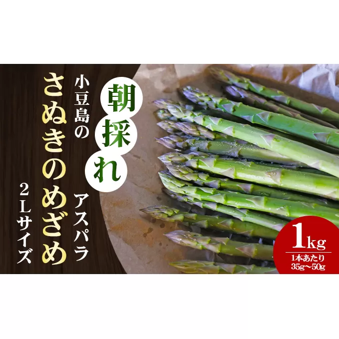 【先行予約】小豆島の朝採れアスパラ 『さぬきのめざめ』２Lサイズ１kg　配送期間：２月中旬～５月中旬まで