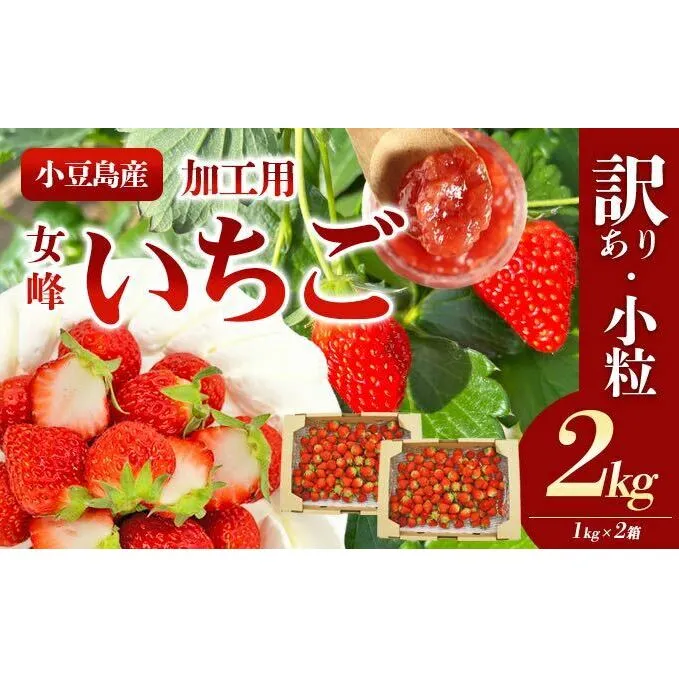 【 小豆島 】＜訳あり・小粒＞小豆島産　加工用いちご×2箱 果物 スイーツ 高品質 甘み 酸味 濃厚 小さい ジャム 