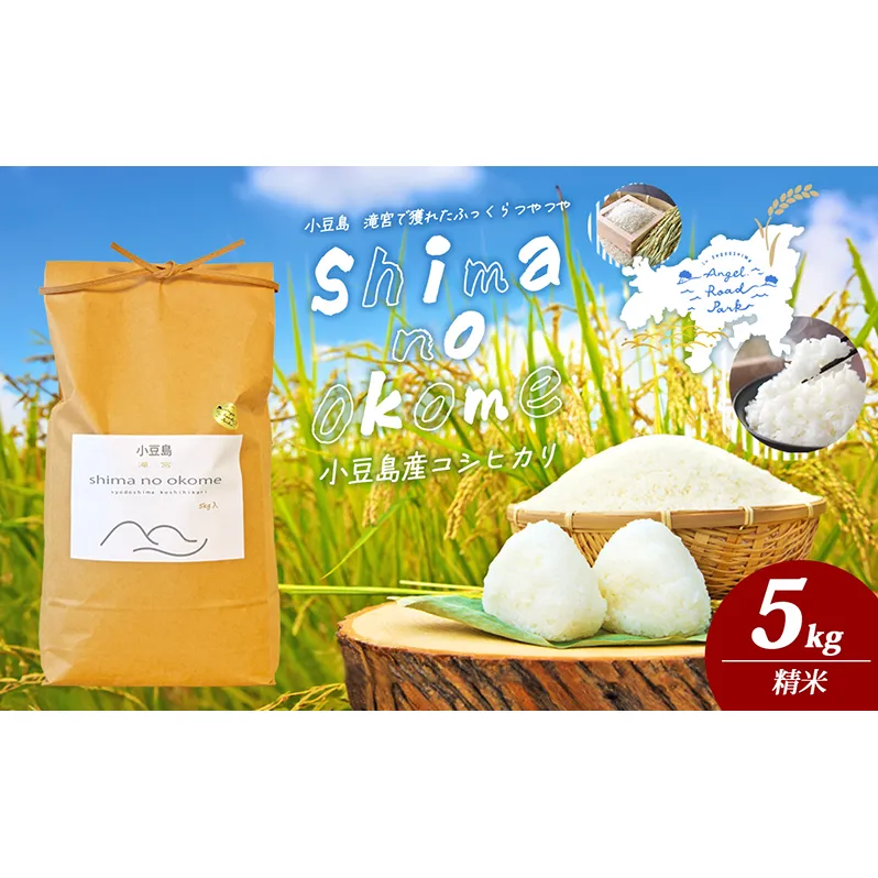 【 小豆島 】小豆島 滝宮で獲れたふっくらつやつや 小豆島産 コシヒカリ 5kg こしひかり お米 米 白米 精米 もっちり 甘み 香川 香川県 土庄 土庄町