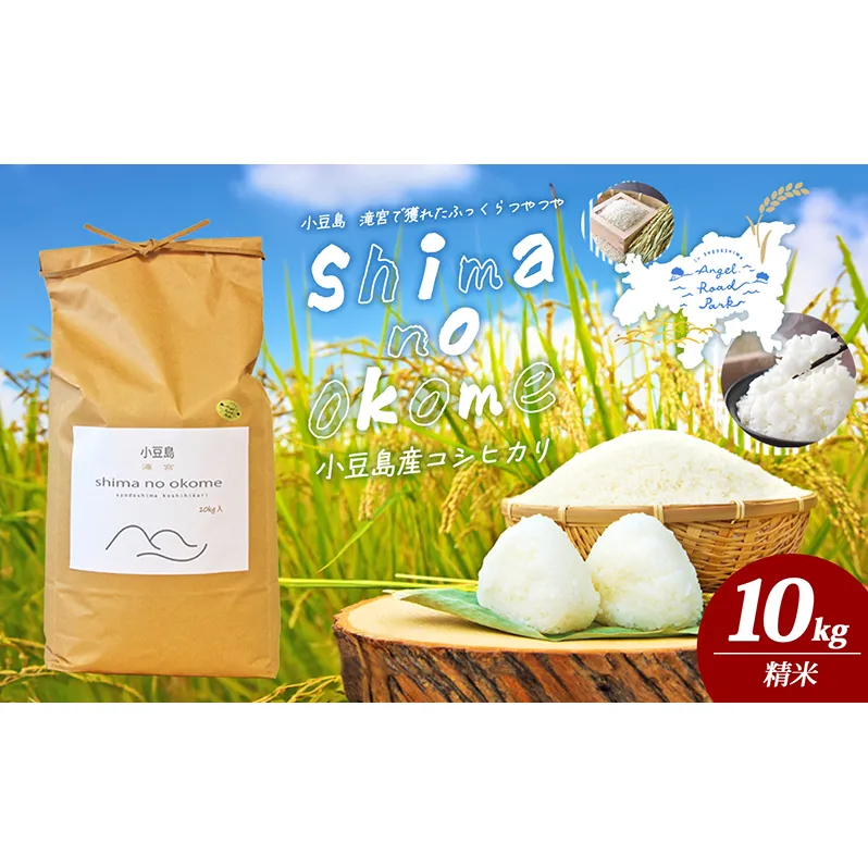 【 小豆島 】小豆島 滝宮で獲れたふっくらつやつや 小豆島産 コシヒカリ 10kg こしひかり お米 米 白米 精米 もっちり 甘み 香川 香川県 土庄 土庄町