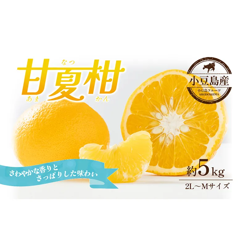 【 小豆島 】 甘夏柑 約5kg 柑橘 あまなつかん 果物 フルーツ 爽やか さっぱり くだもの 国産 香川 香川県 土庄 土庄町 