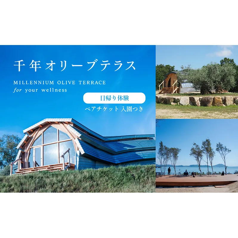 【 小豆島 】千年オリーブテラス for your wellness 日帰り体験 （入園つき） ペアチケット マインドフルネス体験 体験 体験チケット 旅行 旅 オリーブテラス 日帰り チケット ペア 香川 香川県 土庄 土庄町