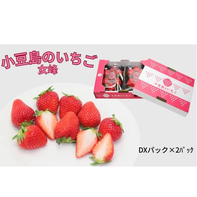 【 小豆島 】小豆島のいちご（女峰）DXパック［ 250ｇ×２パック］ 果物類 苺 イチゴ