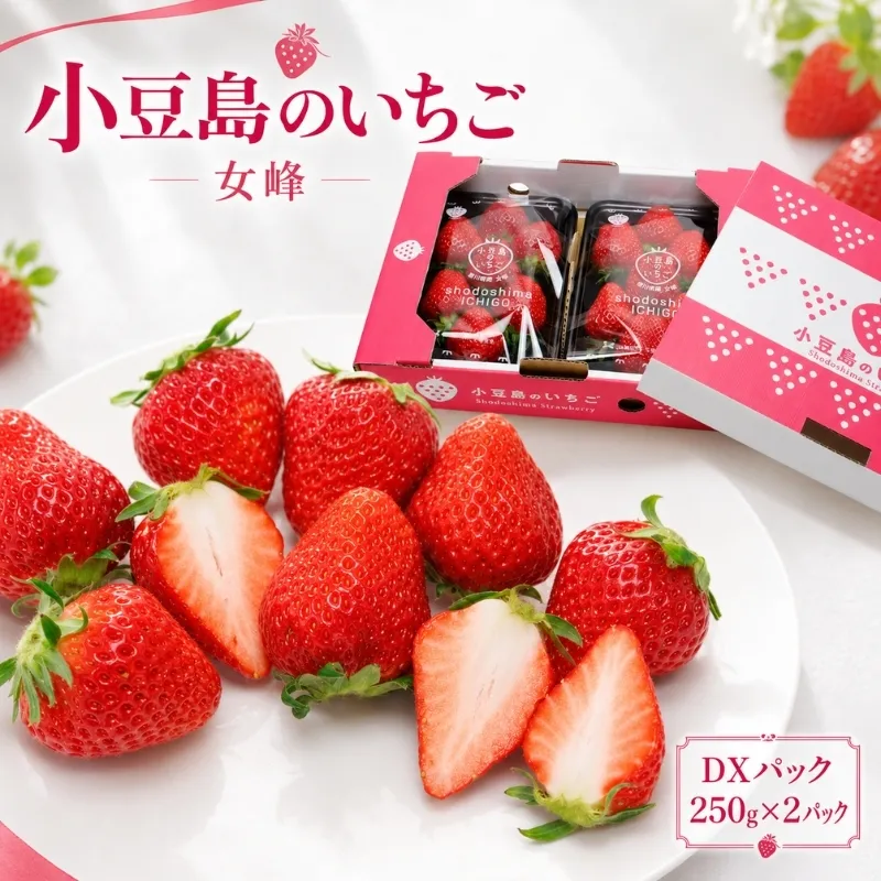 【 小豆島 】小豆島のいちご（女峰）DXパック［ 250ｇ×２パック］ 果物類 苺 イチゴ 
