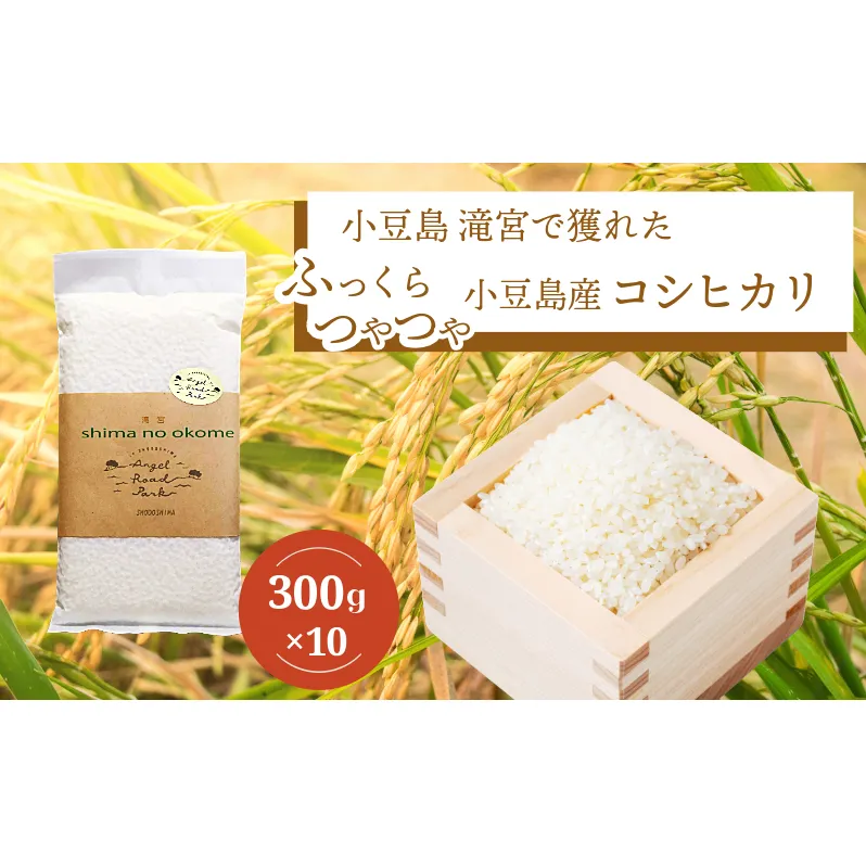 【 小豆島 】小豆島 滝宮で獲れたふっくらつやつや 小豆島産 コシヒカリ 300g×10個 こしひかり お試し 少量 小分け お米 米 白米 精米 もっちり 甘み 3kg 香川 香川県 土庄 土庄町