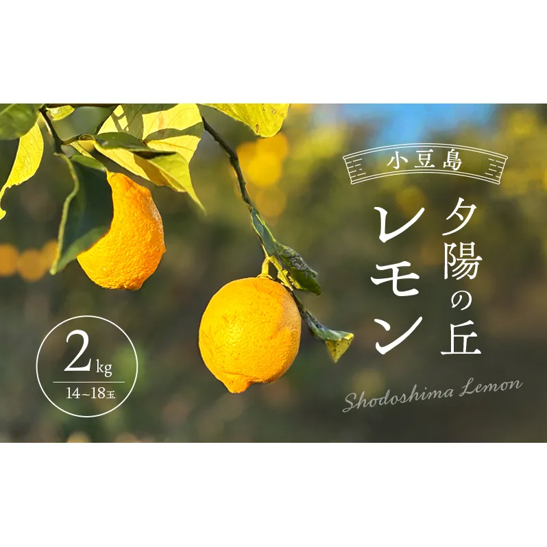 小豆島 夕陽の丘 レモン 2kg (14～18玉) 果物 フルーツ 柑橘 香川 土庄町