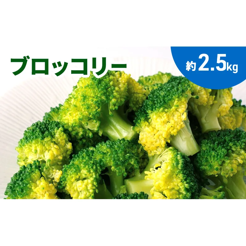 ブロッコリー　約２.5kg