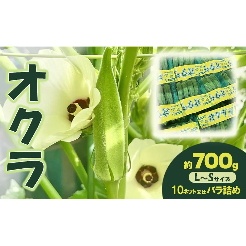 オクラ 約700g 野菜