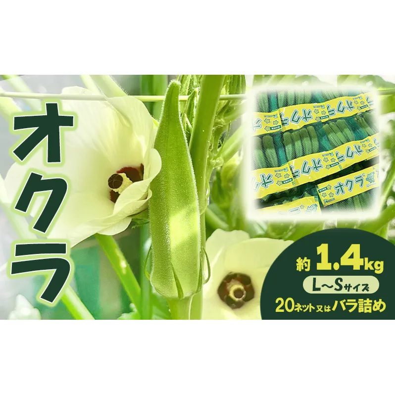オクラ 約1.4kg 野菜