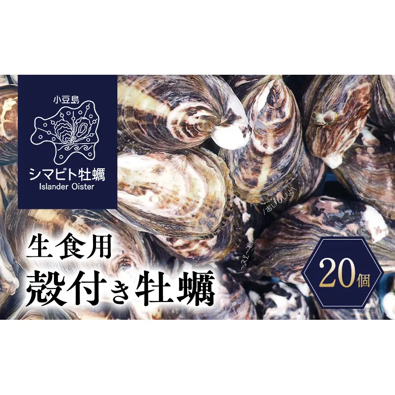 【 小豆島 】小豆島産 シマビト牡蠣　生食用殻付き牡蠣　20個　牡蠣 カキ 生牡蠣 生食用 殻付き シマビト 香川県