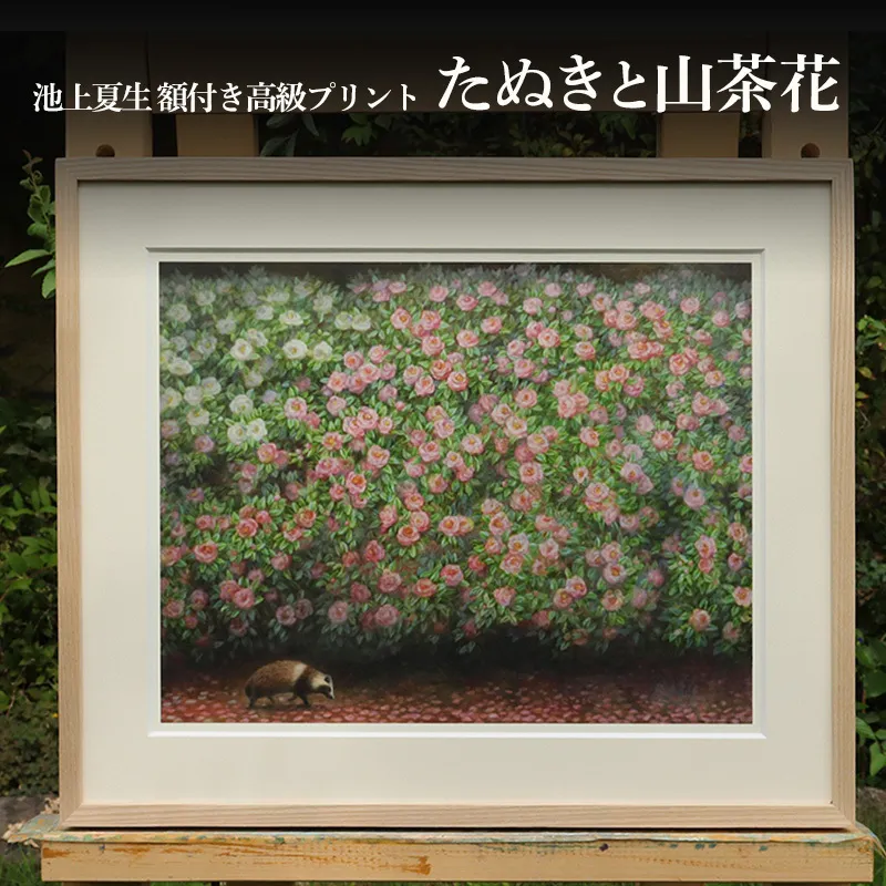 池上夏生 額付き高級プリント ”たぬきと山茶花”