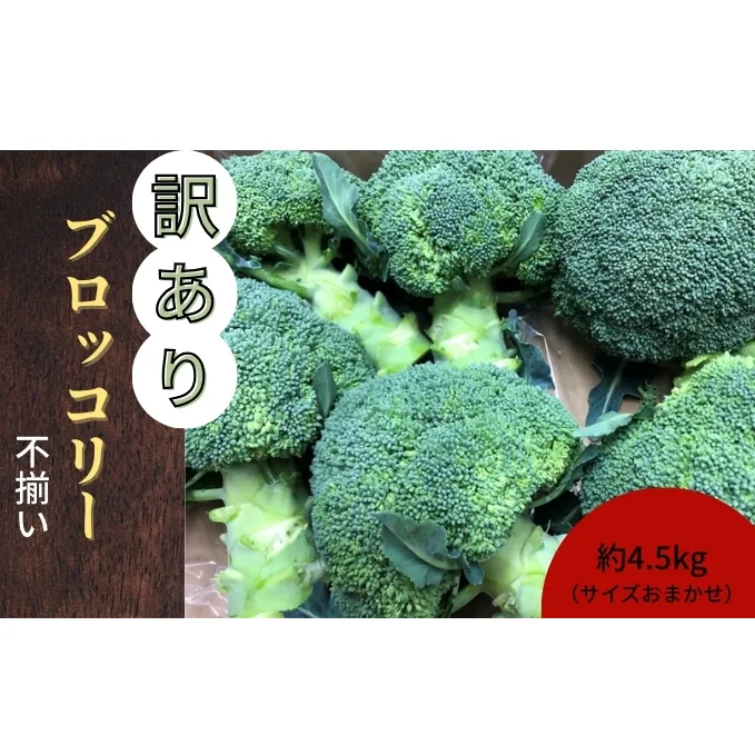 訳ありブロッコリー 約4.5kg(サイズおまかせ)