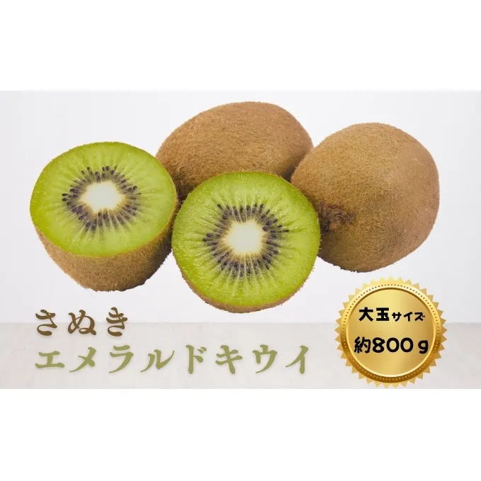 キウイ さぬきエメラルドキウイ (貴重な大玉サイズ) 約800g 果物 フルーツ