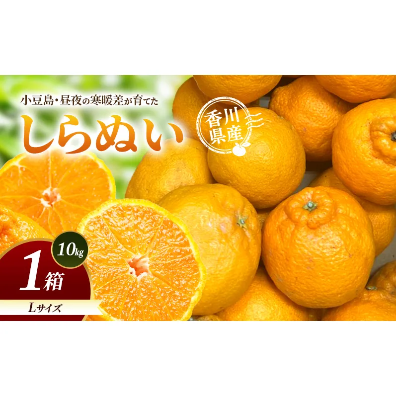 小豆島・昼夜の寒暖差が育てたしらぬい L 1箱(10kg) しらぬい 不知火 柑橘 フルーツ 果物 くだもの 香川 香川県 土庄 土庄町