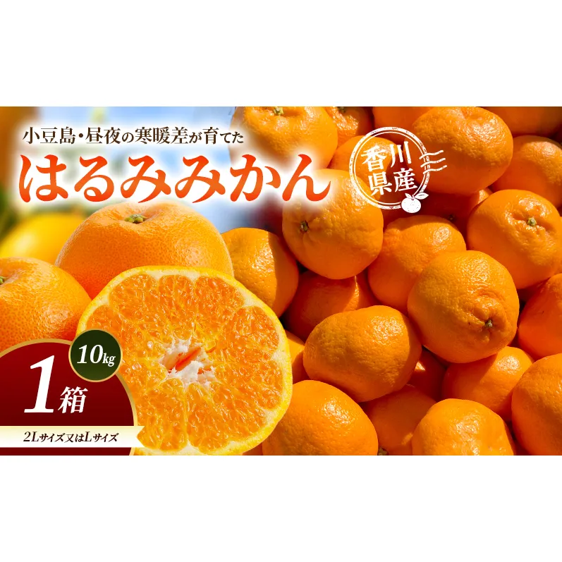 小豆島・昼夜の寒暖差が育てたはるみみかん 2L又はL 1箱(10kg) はるみ みかん 柑橘 フルーツ 果物 くだもの 香川 香川県 土庄 土庄町