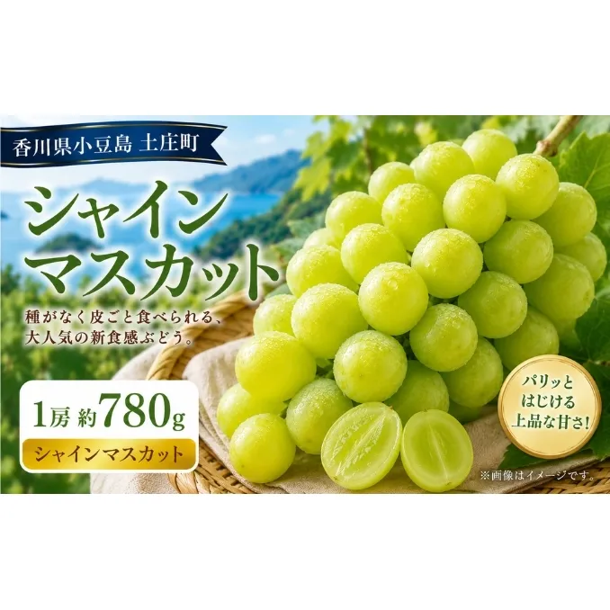 シャインマスカット  1房 約780g マスカット フルーツ 果物 香川県 土庄町