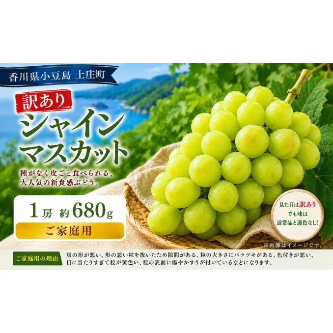 訳あり シャインマスカット  1房 約680g マスカット フルーツ 果物 香川県 土庄町