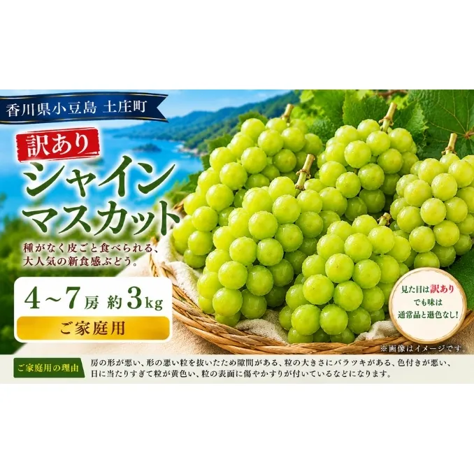 訳あり シャインマスカット  4～7房 約3kg マスカット フルーツ 果物 香川県 土庄町