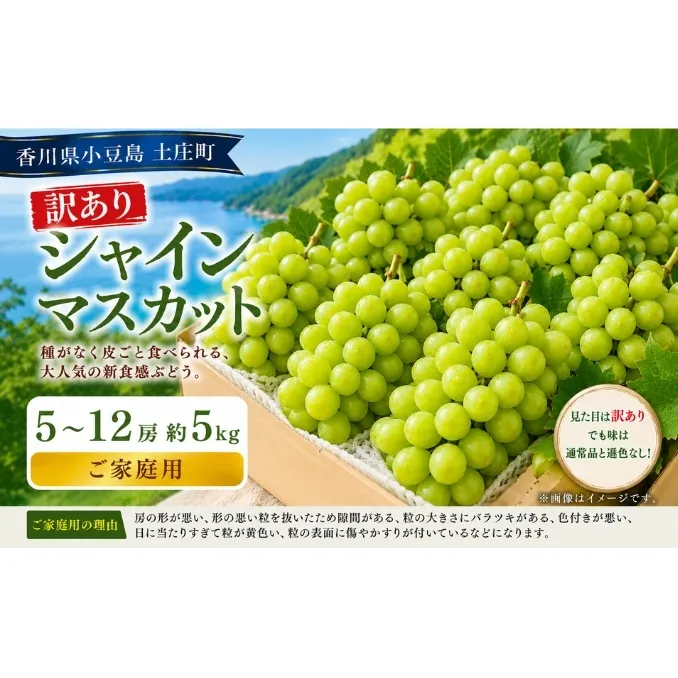 訳あり シャインマスカット  5～12房 約5kg マスカット フルーツ 果物 香川県 土庄町