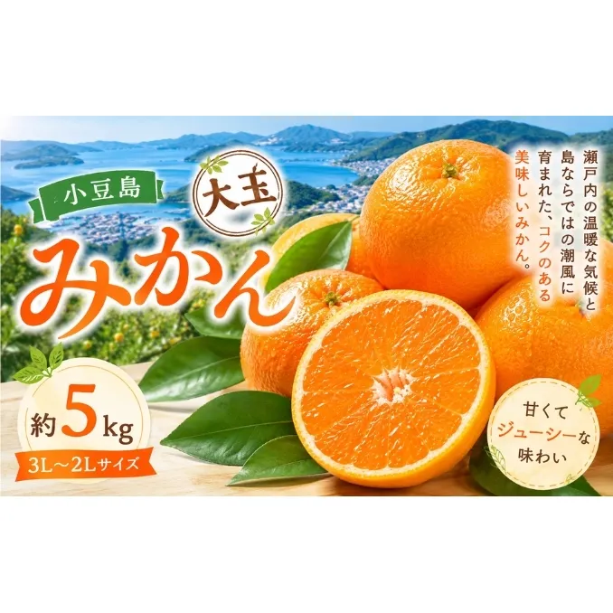 小豆島 みかん 大玉 約5kg フルーツ 果物 香川県 土庄町