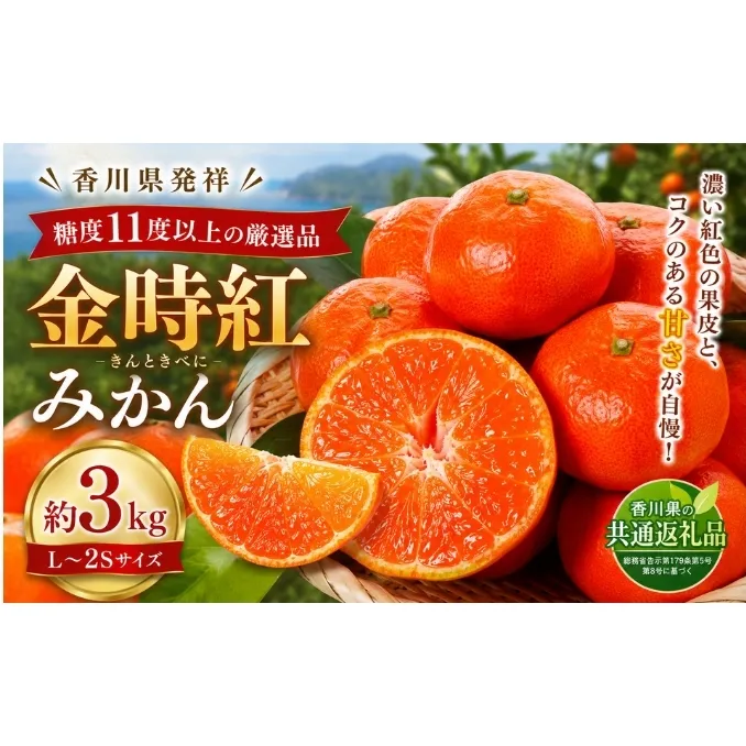 金時紅みかん 約3kg フルーツ みかん 果物 香川県 土庄町