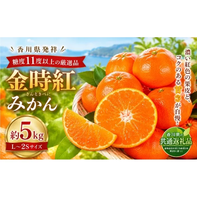 金時紅みかん 約5kg フルーツ みかん 果物 香川県 土庄町