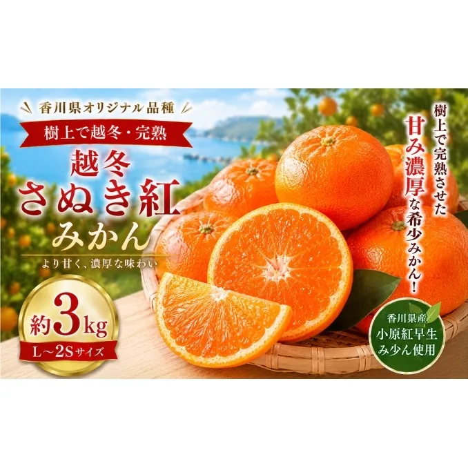越冬さぬき紅みかん 約3kg みかん フルーツ 果物 香川県 土庄町