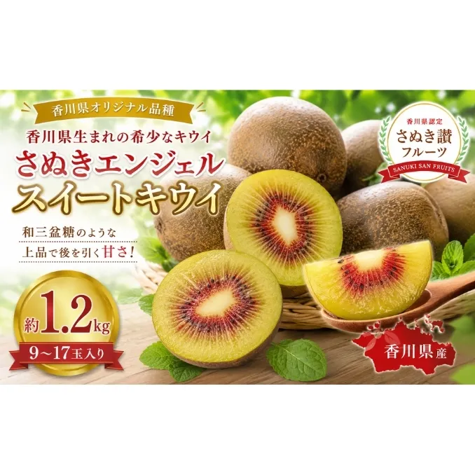 さぬきエンジェル スイートキウイ  約1.2kg キウイ フルーツ 果物 香川県 土庄町